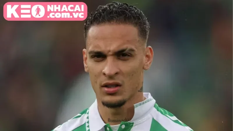 Tin tức đội hình